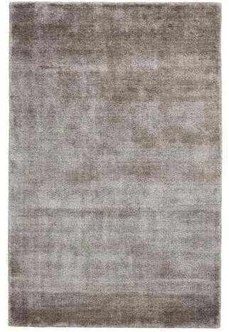 Woud Tint Rug 300x200 cm Beige