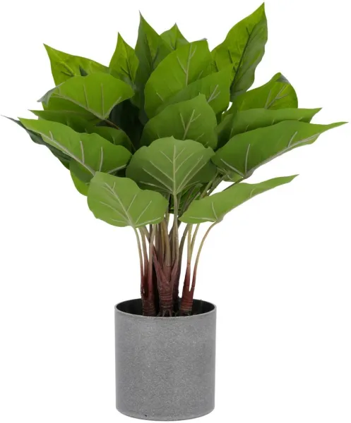 Anthurium, Artificial plant, green/grey, H50x40x40 cm